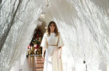 Melania Trump фото №1017878