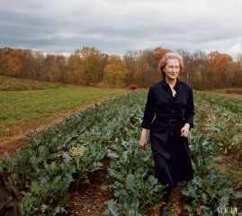 Meryl Streep фото №452205