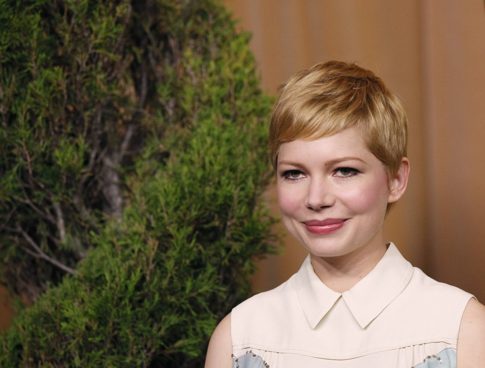 Мишель Вильамс (Michelle Williams(actress))