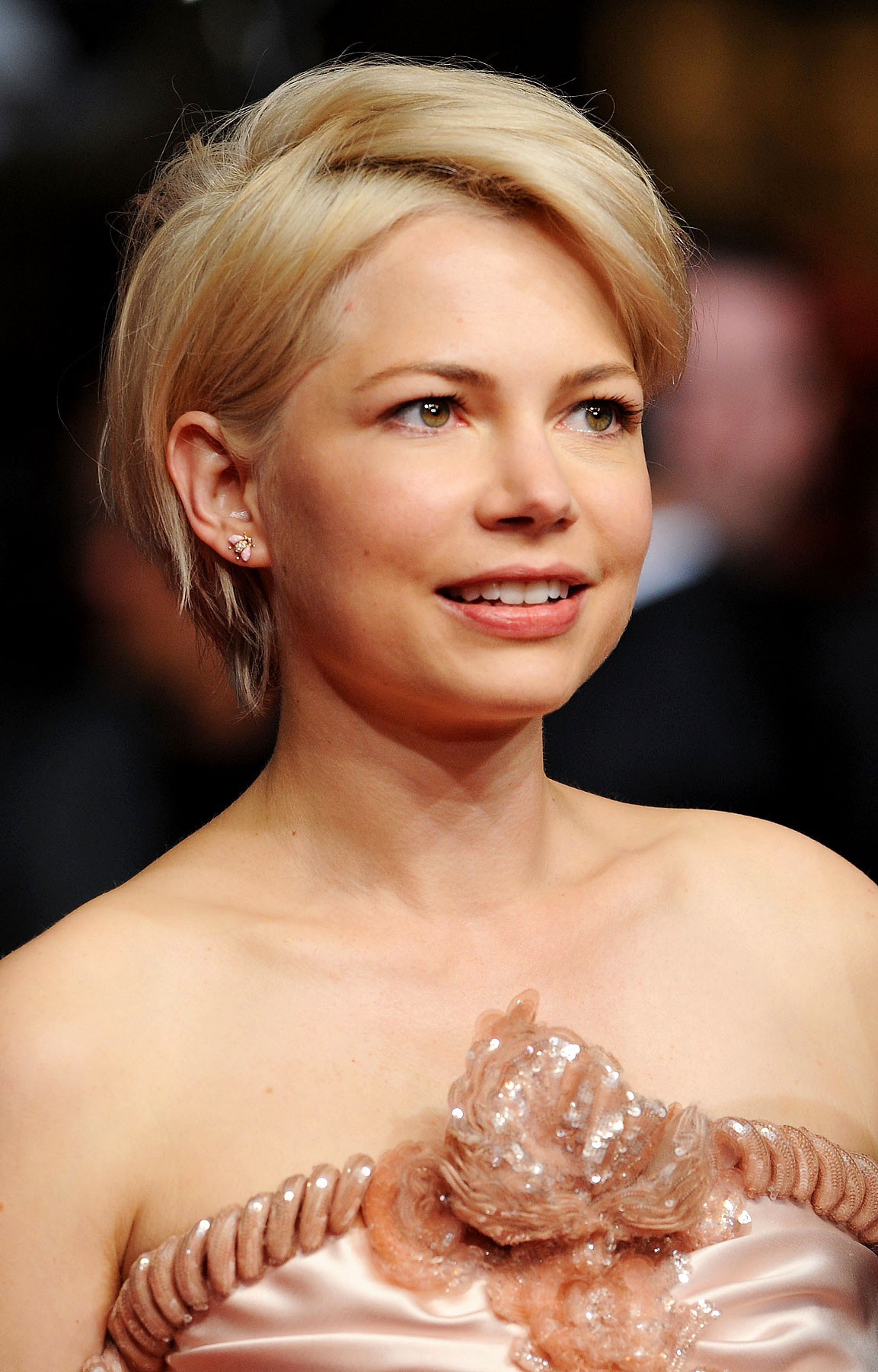 Мишель Вильамс (Michelle Williams(actress))