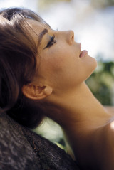 Natalie Wood фото №79602