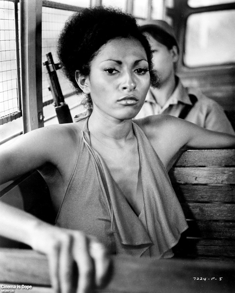 Пэм Грайер (Pam Grier)