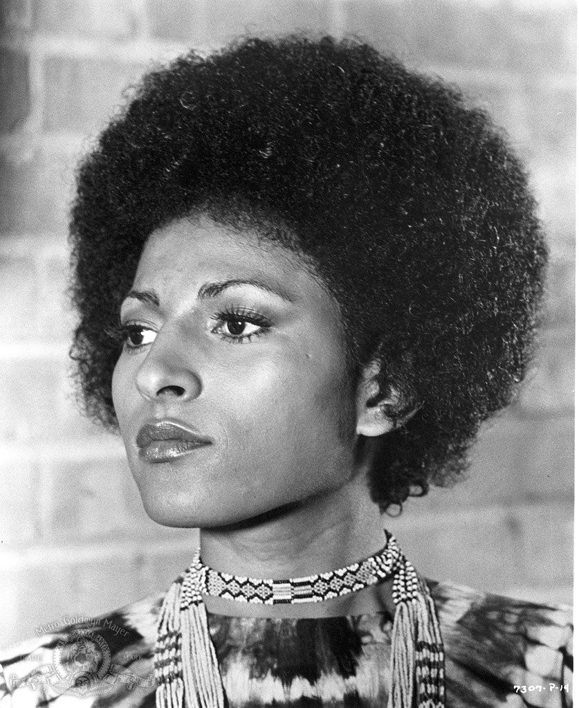 Пэм Грайер (Pam Grier)