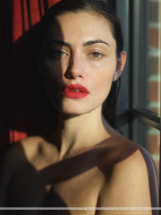 Phoebe Tonkin for LESJOUR фото №1403013