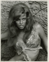 Raquel Welch фото №165227