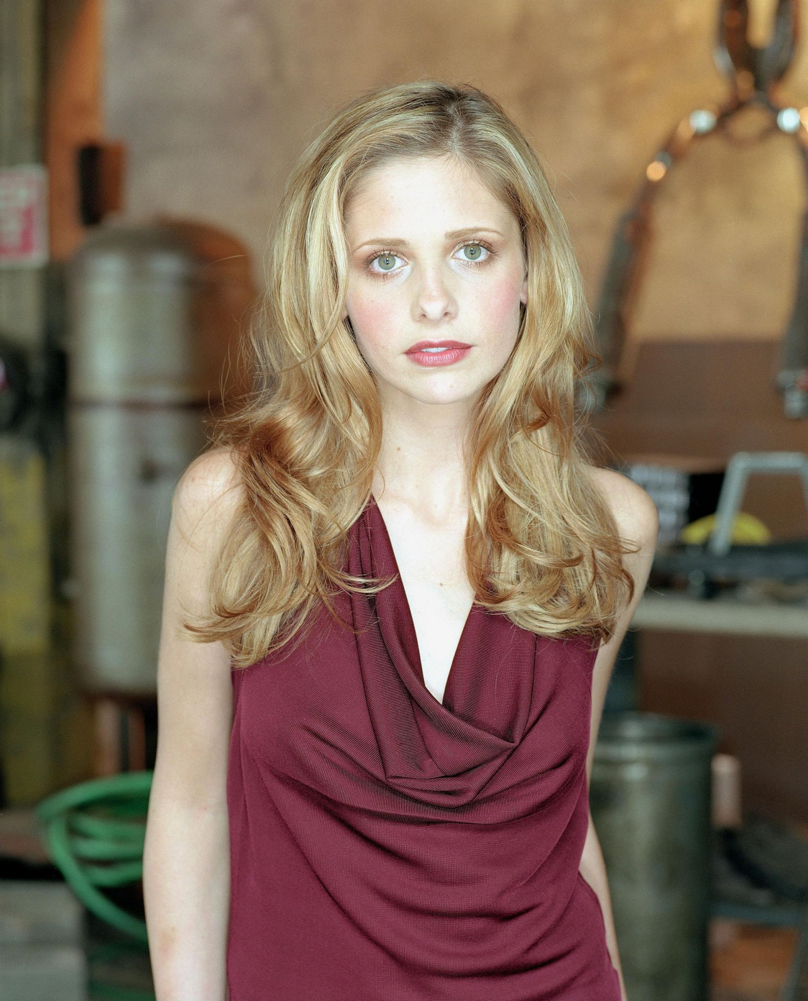 Сара Мишель Геллар (Sarah Michelle Gellar)