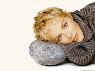 Sharon Stone фото №65229