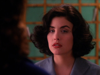 Sherilyn Fenn фото №594725