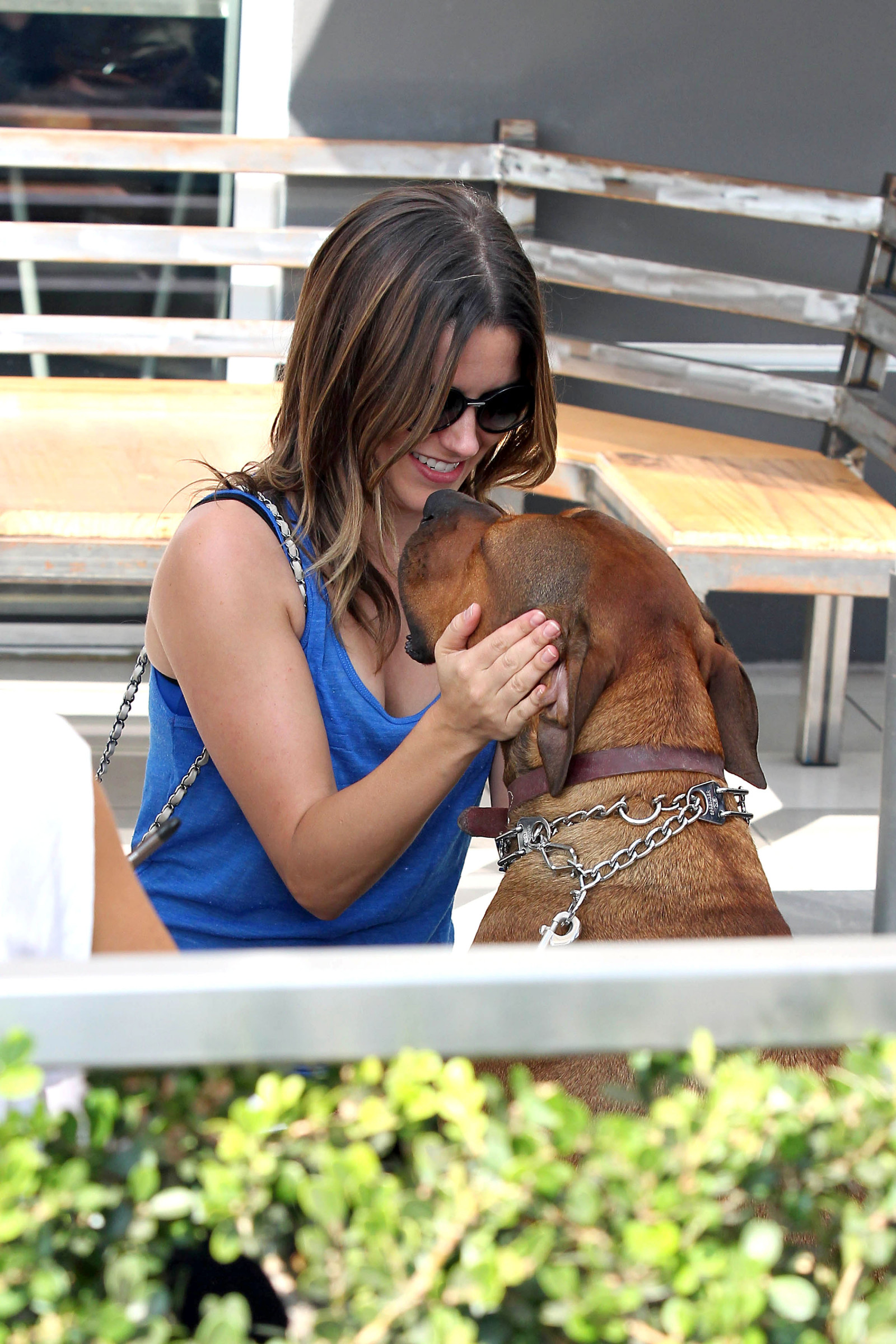 София Буш (Sophia Bush)