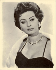 Sophia Loren фото №393732