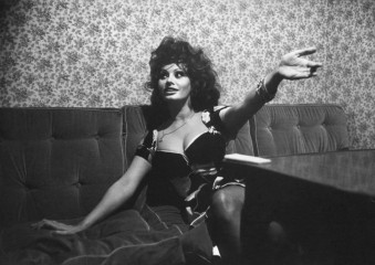 Sophia Loren фото №397712