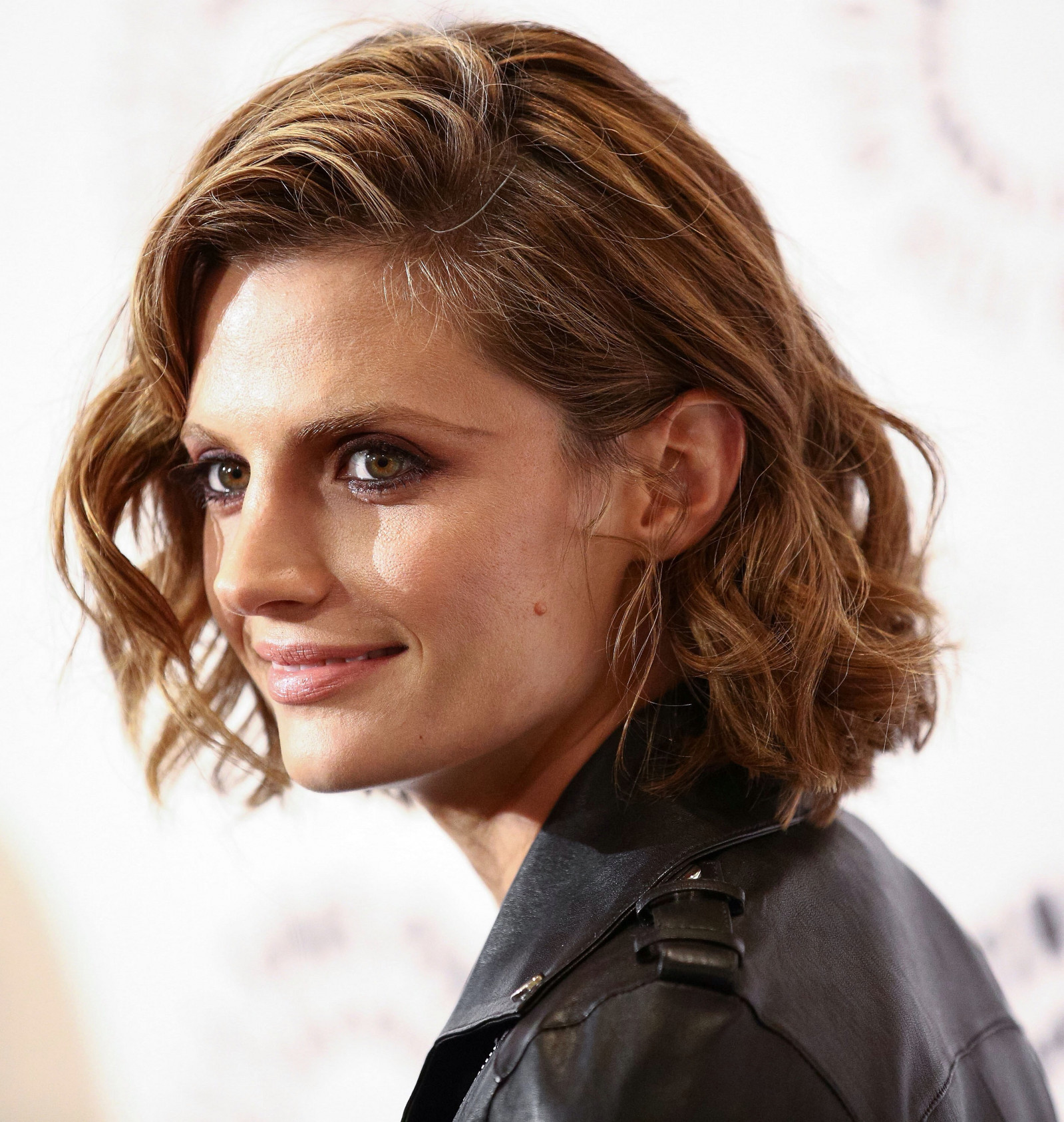 Стана Катич (Stana Katic)