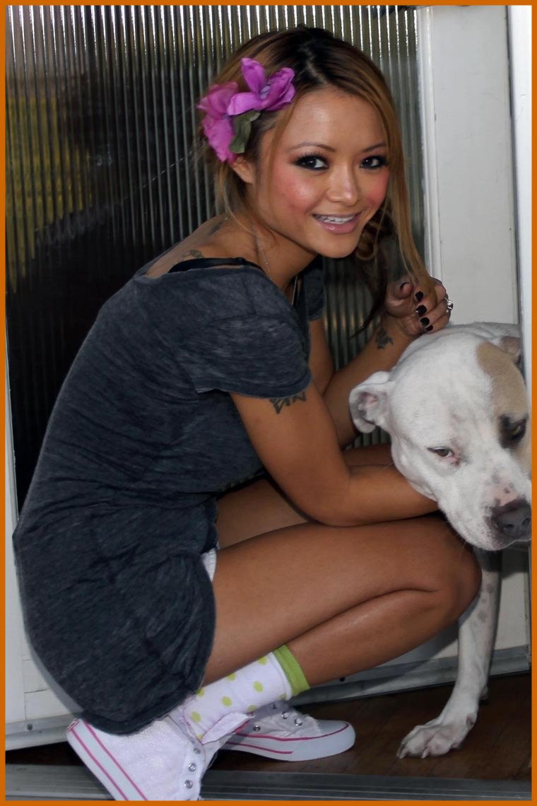 Тила Текила (Tila Tequila)