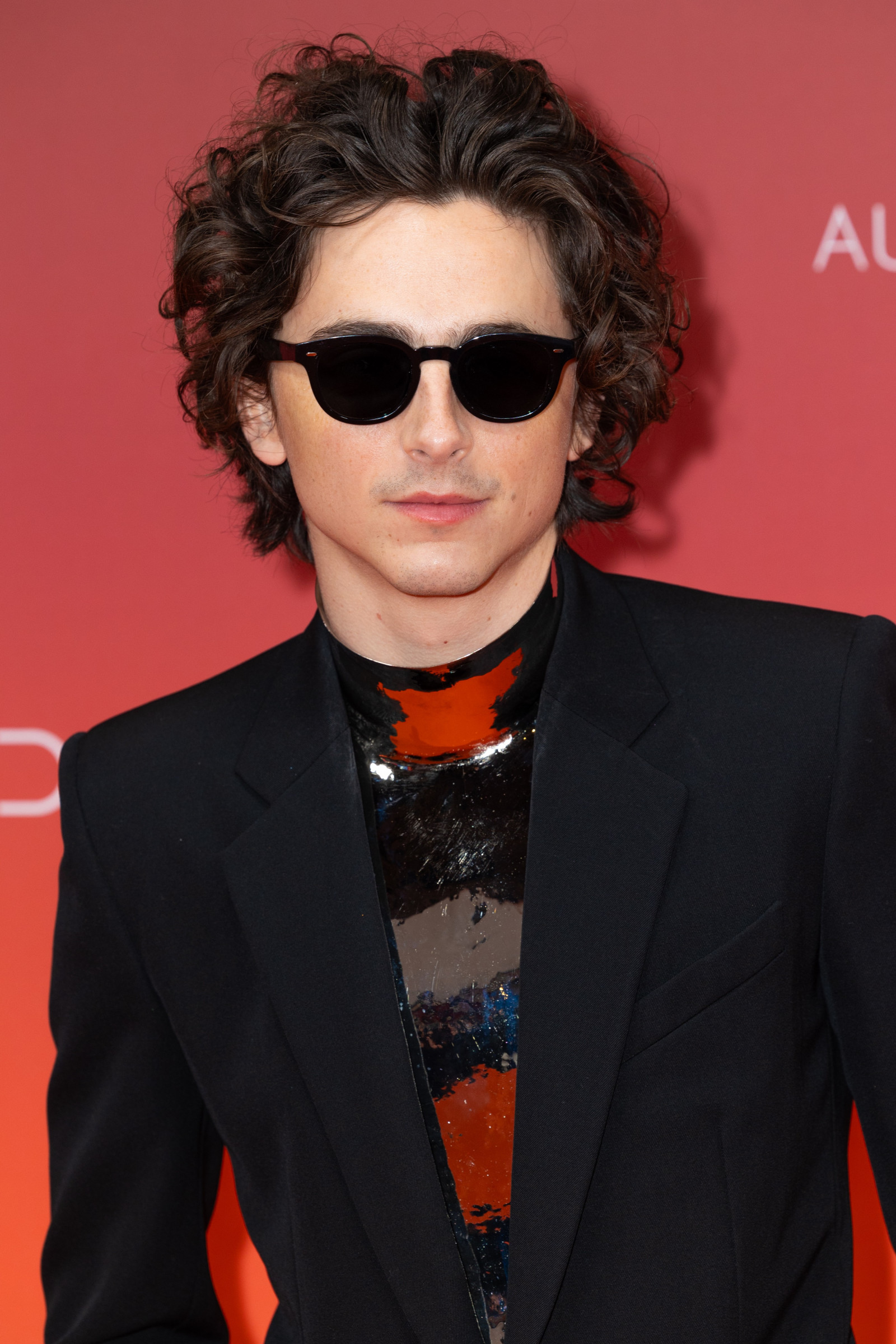 Тимоти Чаламет (Timothee Chalamet)