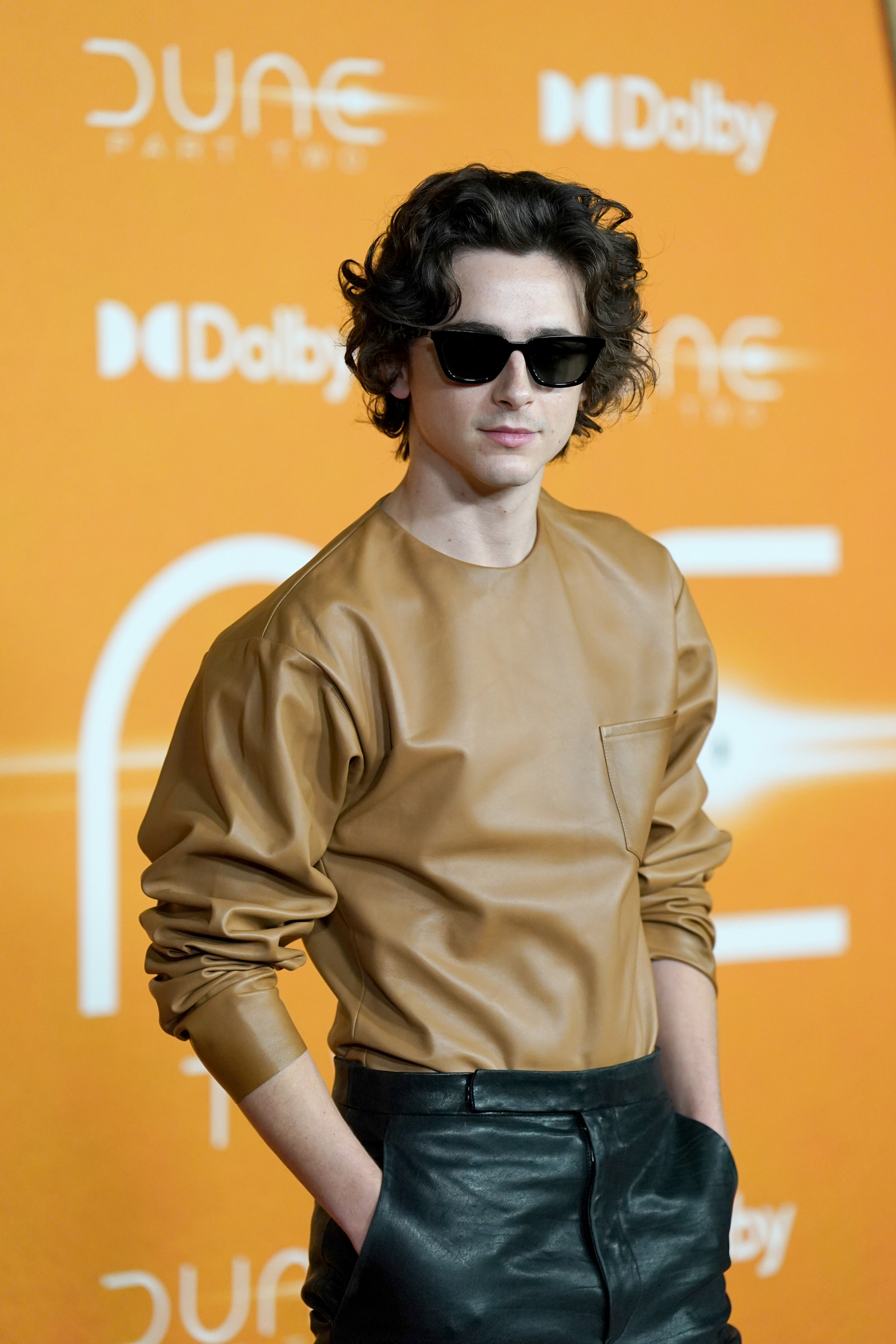 Тимоти Чаламет (Timothee Chalamet)