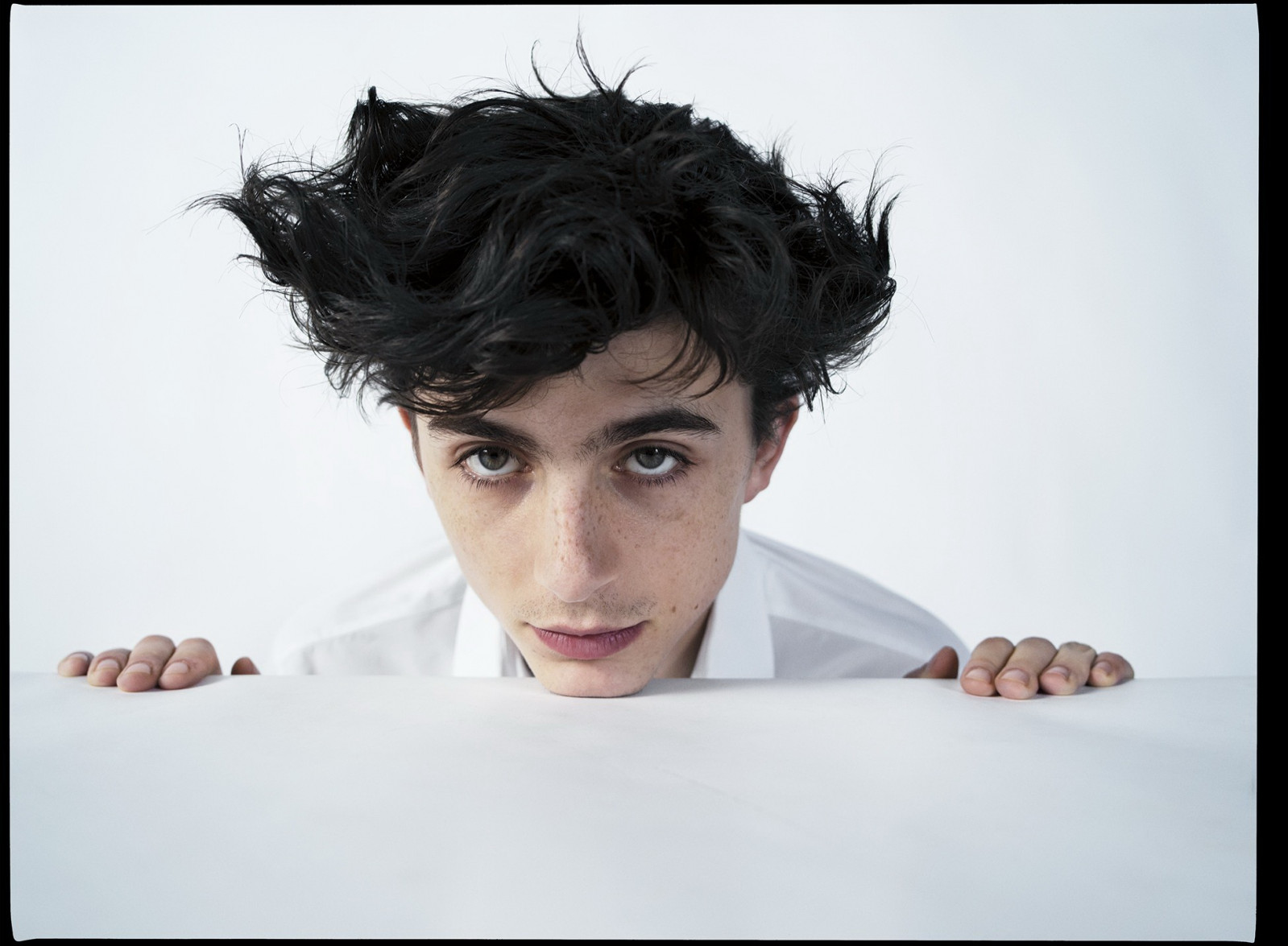 Тимоти Чаламет (Timothee Chalamet)