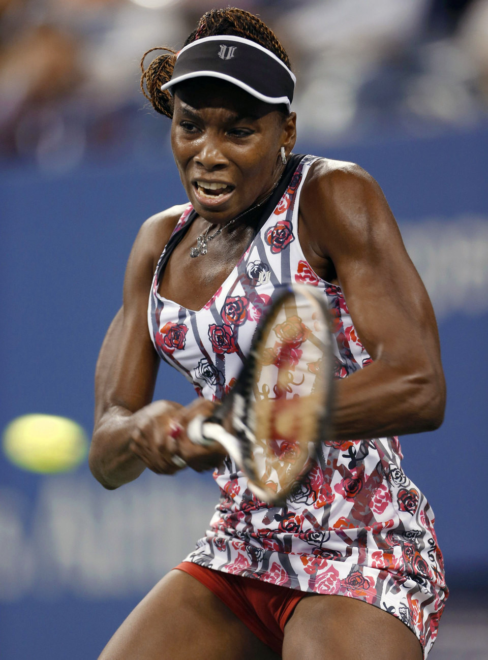 Венус Уильямс Venus Williams фото №554428 7046