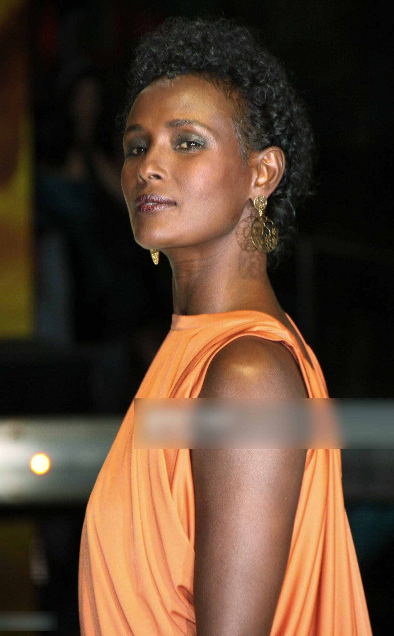 Варис Дирие (Waris Dirie)