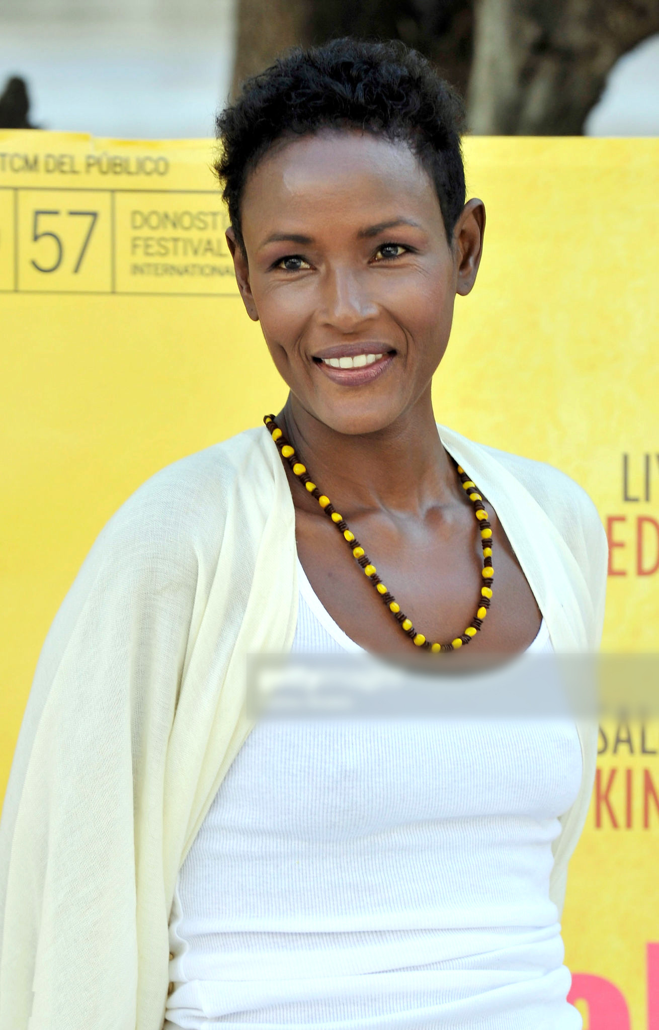 Варис Дирие (Waris Dirie)