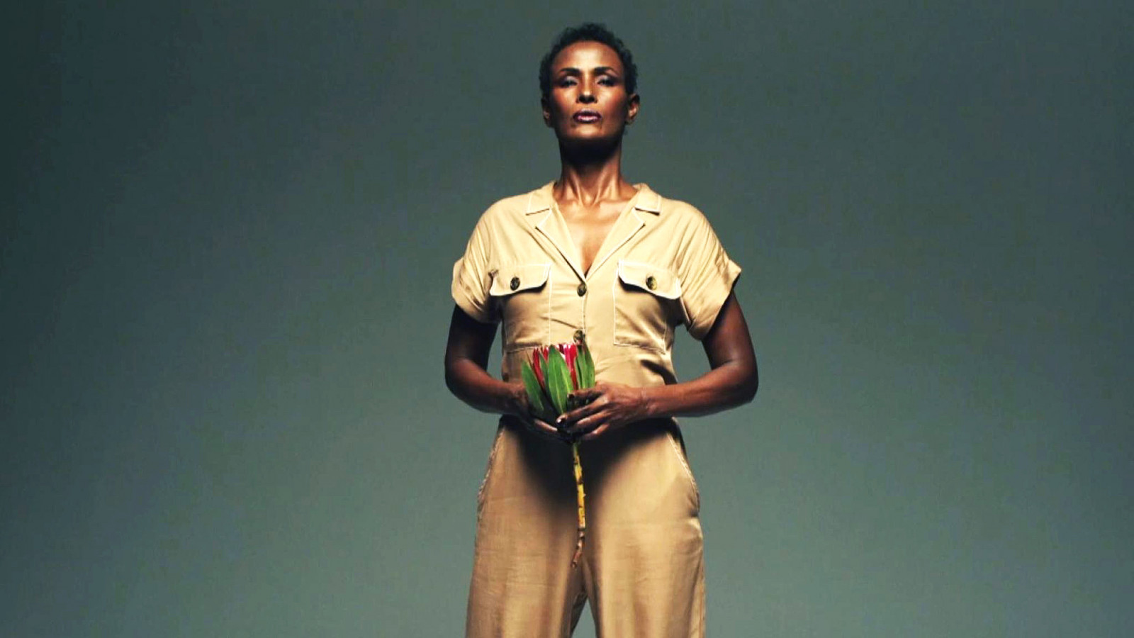 Варис Дирие (Waris Dirie)