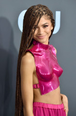 Zendaya - 25th Critics' Choice Awards in Santa Monica 01/12/2020 фото №1242025