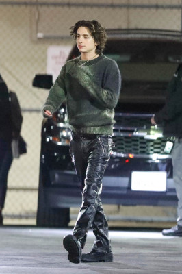 Timothee Chalamet