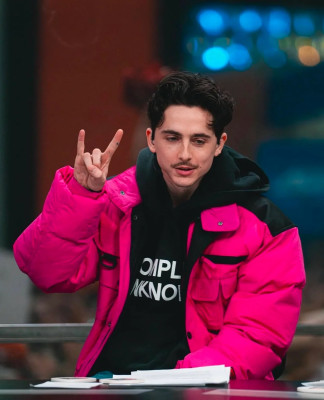 Timothee Chalamet