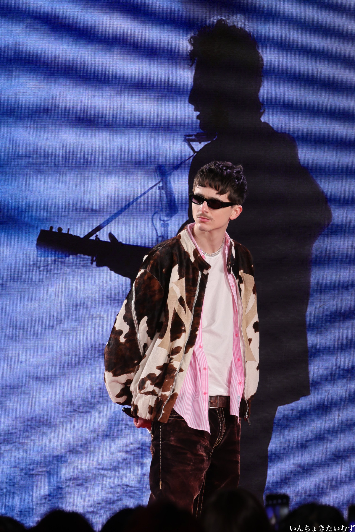Timothee Chalamet