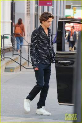 Timothee Chalamet