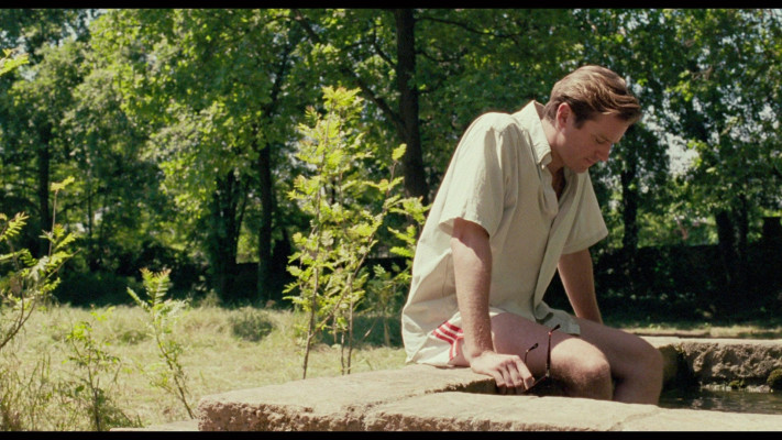 Armie Hammer