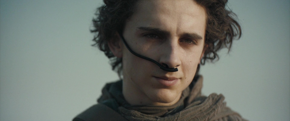 Timothee Chalamet