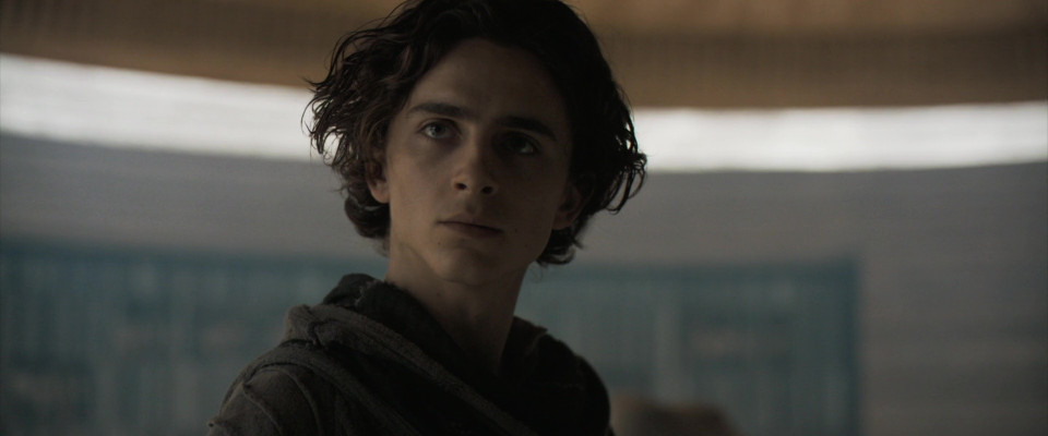 Timothee Chalamet