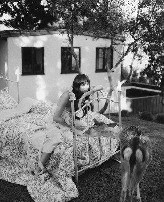 Dakota Johnson