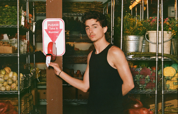 Timothee Chalamet