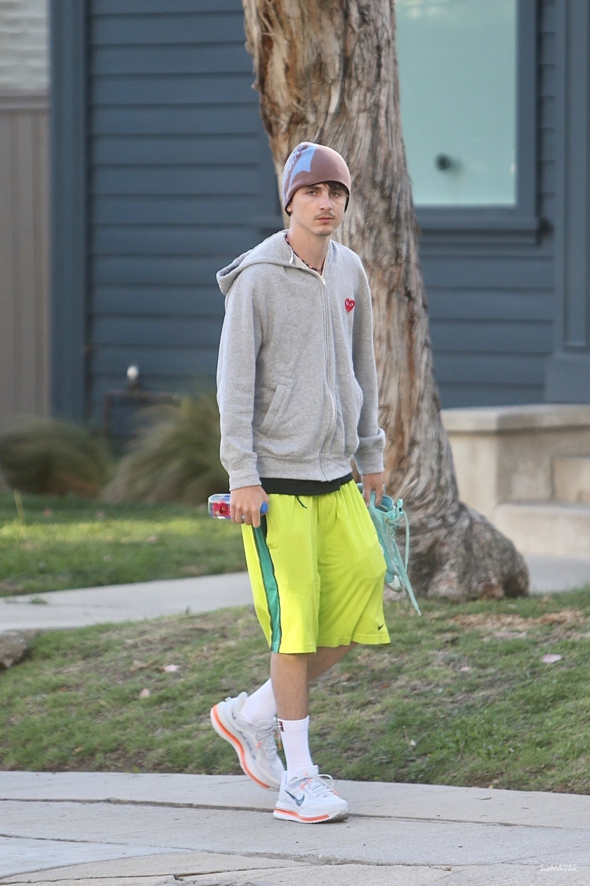Timothee Chalamet