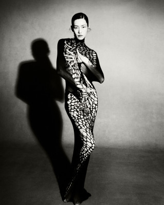 Liu Wen