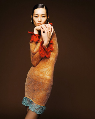 Liu Wen