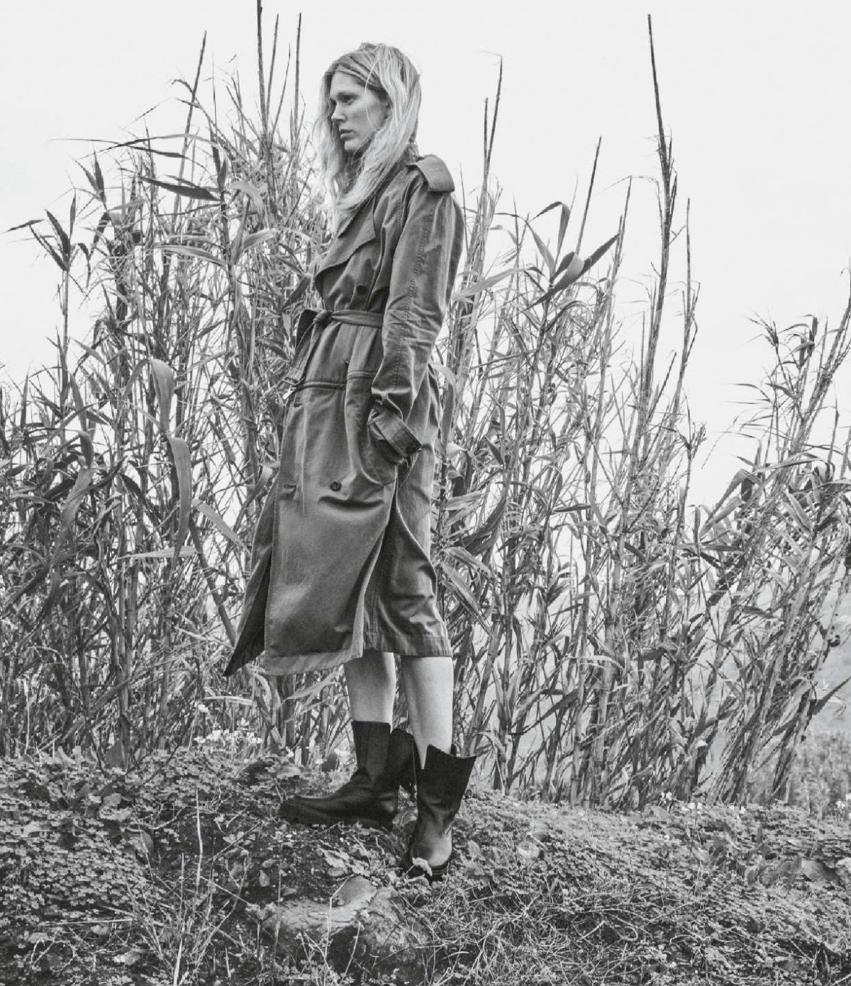 Iselin Steiro