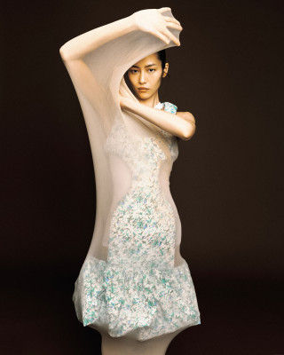 Liu Wen