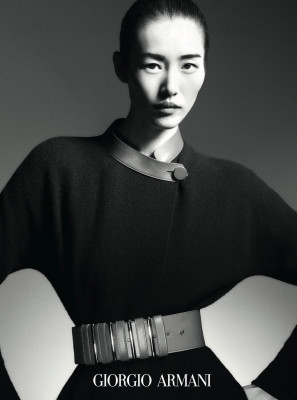 Liu Wen