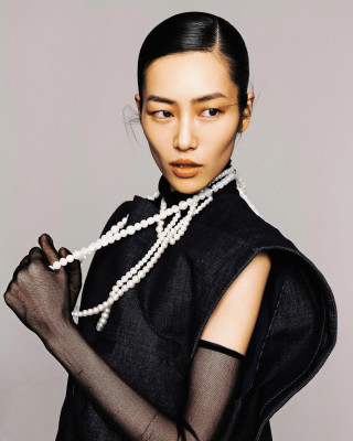 Liu Wen