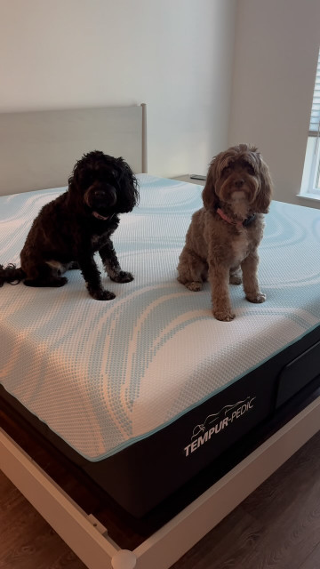 Abby Dahlkemper instagram post 774287