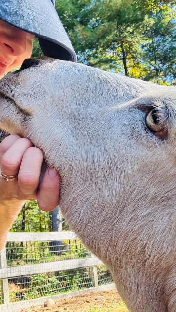 Amanda Seyfried instagram post 789648