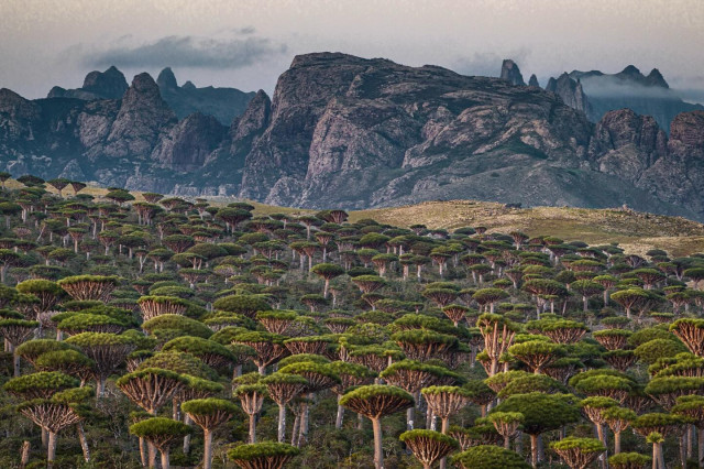 Anitta instagram post 790243