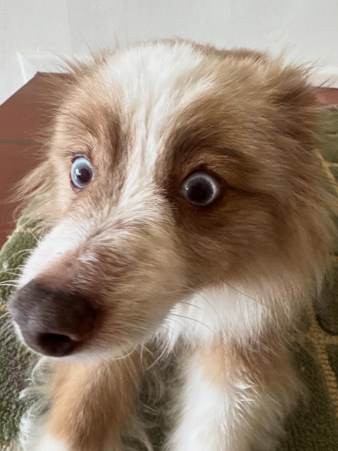 Bea Miller instagram post 789371