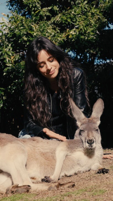 Camila Cabello instagram post 789350