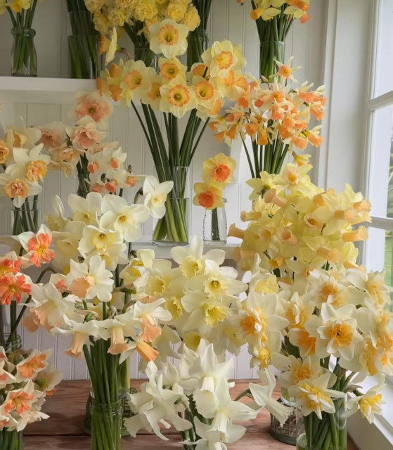 Christine Sofie instagram post 784024