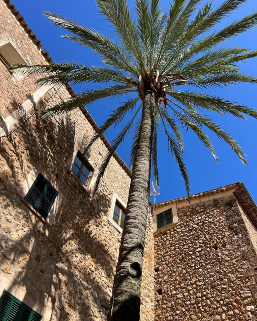 Daniel Bruhl instagram post 772306