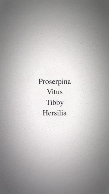 Iris Apatow instagram post 786796