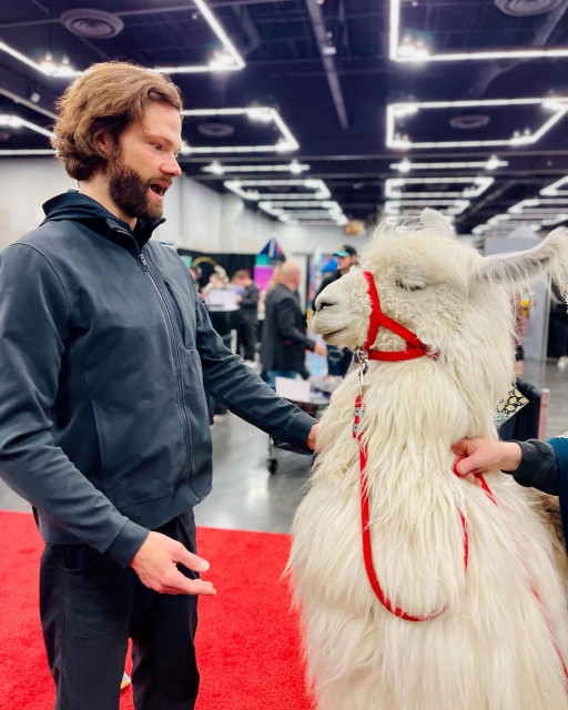 Jared Padalecki instagram post 779921